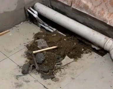 西畴卫生间漏水检测哪家好