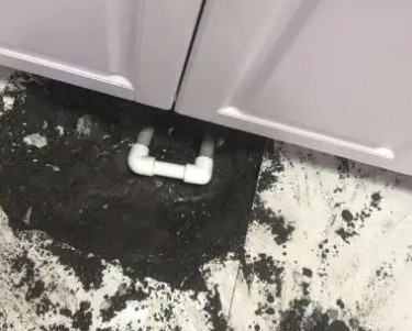 西畴查漏水哪家好